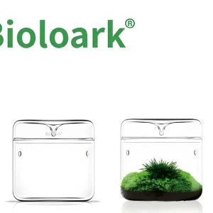 Angebot Bioloark Luji Glass Cup MY-120, Biosphären-Glas